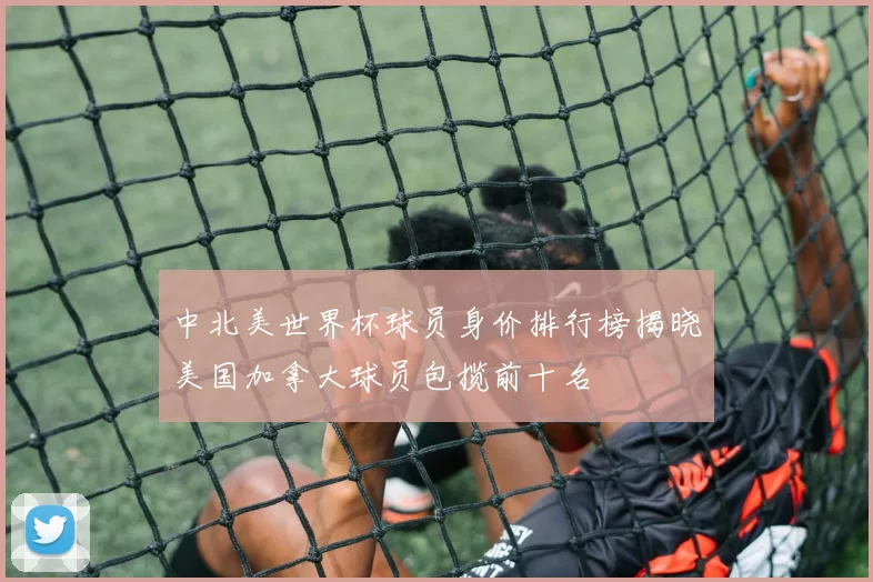 中北美世界杯球员身价排行榜揭晓美国加拿大球员包揽前十名